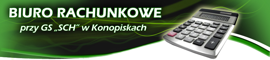 Biuro rachunkowe - strona g��wna